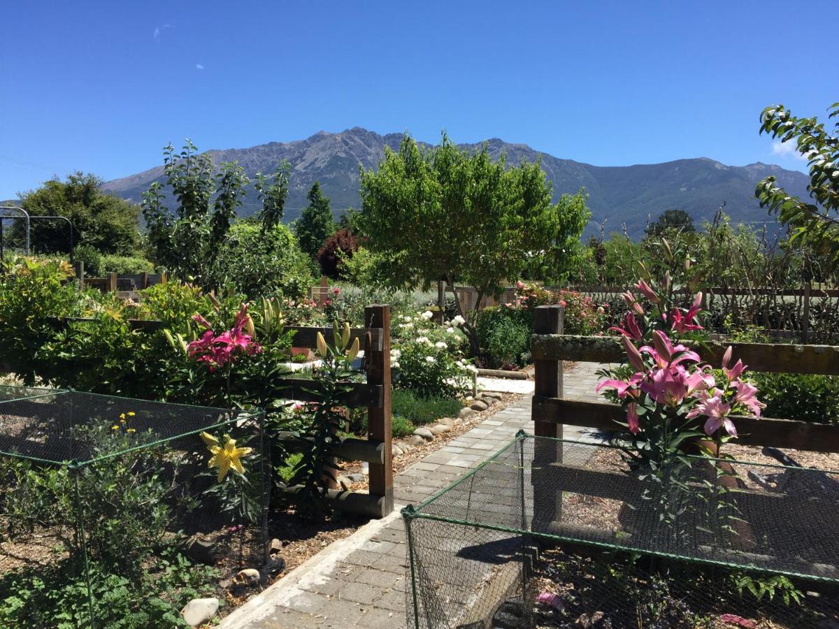Birch Hill Cottage -30 Minutes From St Arnaud Wairau Valley Екстериор снимка